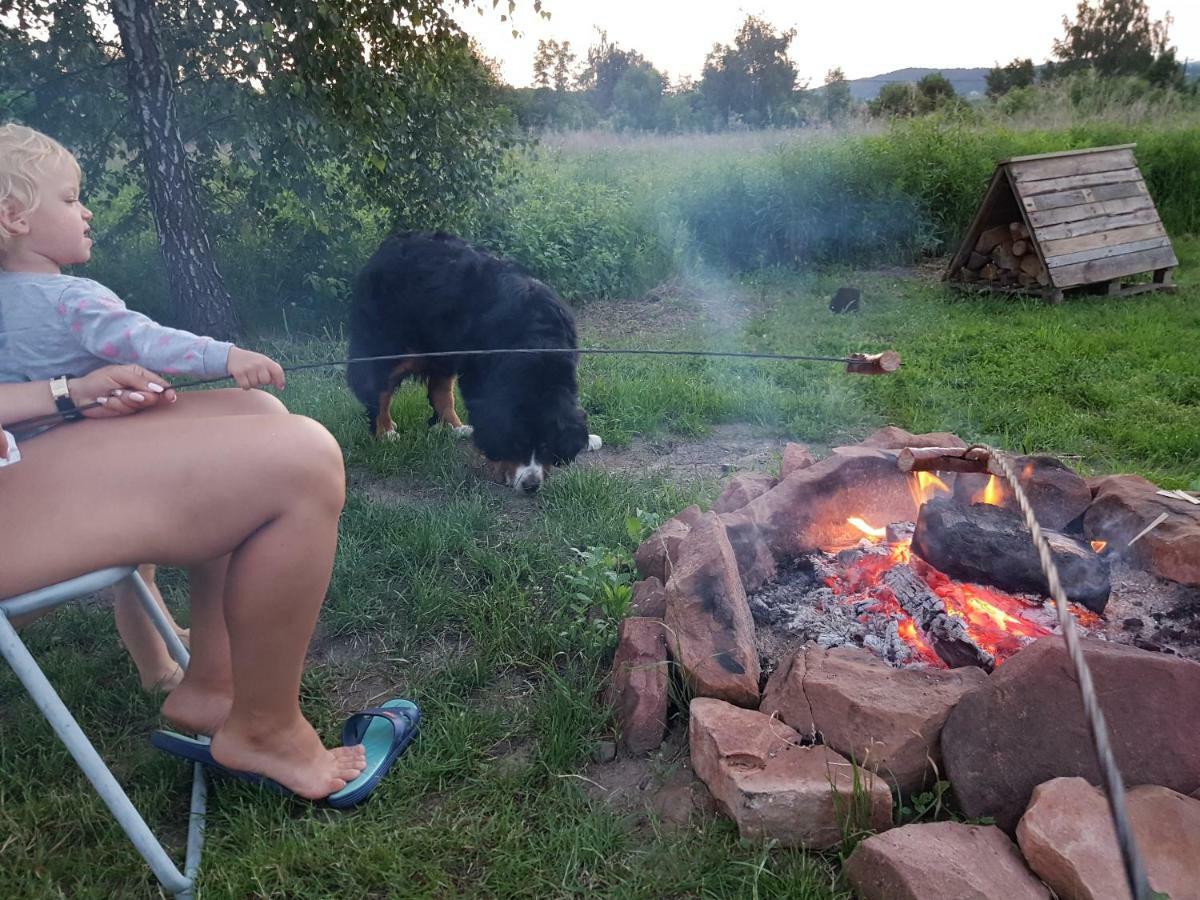 Wrzosowe Wzgorze Apartamenty Chęciny 外观 照片